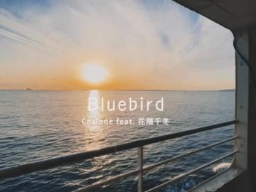 Bluebird / Chrione feat. 花隈千冬