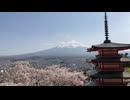 桜と富士山と五重塔@山梨県富士吉田市の新倉山浅間公園20220412 iPhoneSE2 楽天回線またはau回線