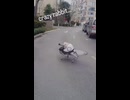 や じ ゅ ま ん と 見 るうざろぼ