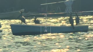 夜の沈む海辺より/natsgar0 ft.初音ミク のサムネイル