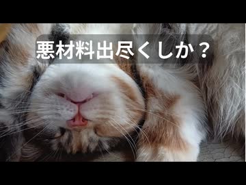 【売ったら上がる不思議な株】#6 とろい私の株生活