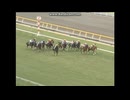 2010 ダイヤモンドＳ(GIII)　フォゲッタブル