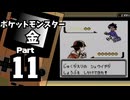 【ポケットモンスター金】ジョウト図鑑完成を目指して Part11【しぜん公園＆36番道路】