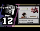 【ポケットモンスター金】ジョウト図鑑完成を目指して Part12【エンジュシティ＆やけた塔】