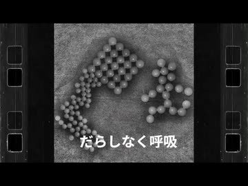 numbutal (feat. 可不)