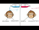 モンキーの気分が落ち込む本当の理由：バナナセロトニンの逆効果 (The Real Reason Monkey’s Mood Crashes – Banana Serotonin Backfires)