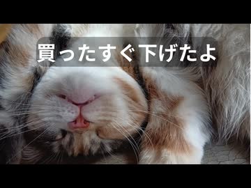 【半導体への思惑と私】#7 とろい私の株生活