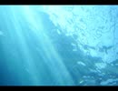 浮上/裏命