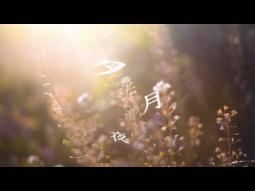 夕月夜 - 夢ノ結唱 HALO