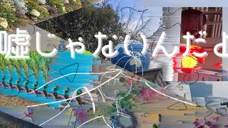 噓じゃないんだよ/しすと feat.花隈千冬 のサムネイル