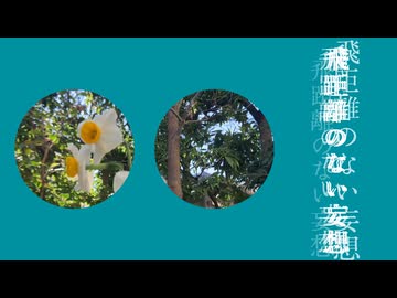 飛距離のない妄想/知声