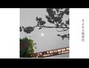 さよなら風来坊  / 知声