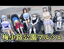 動画初登場＆マルシェ初参加だらけで行く「梅小路公園マルシェ」【ラブドールとの日常】【ゆっくり解説・VOICEVOX解説】