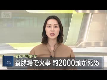 愛知・西尾市の養豚場で火事　約2000頭が死ぬ