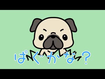 人気の「パグ」動画 366本 - ニコニコ動画