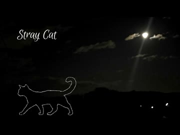 Stray Cat - 重音テト