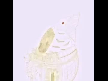集団営巣