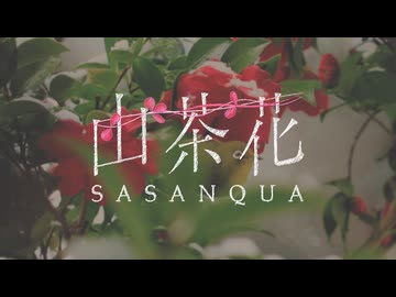 山茶花/IA