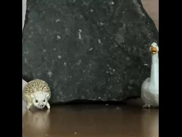 デタラメ
