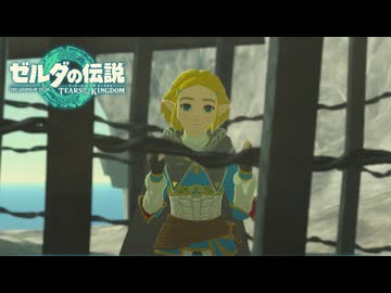 【ゼルダの伝説 ティアーズ オブ ザ キングダム】女神の剣は王国と共に泣く#49