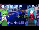 【北海道#3】夜の小樽（with初音ミク&ずんだもん）