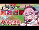 【カービィのエアライダー】それいけ！ヒメちゃん号　その30