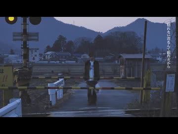 一昨年の花 / ナースロボ＿タイプＴ