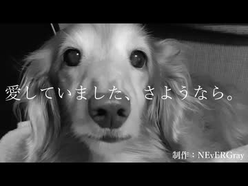 愛していました、さようなら。 / 重音テト SV ＋ NEvERGray