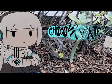 CHOCOL人´∀｀ATE!!! / 羽累