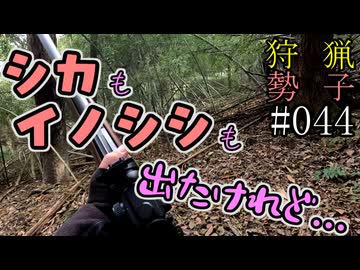 狩猟勢子動画＃044　シカもイノシシも出たけれど