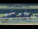 2026 あざみ賞 (3歳1勝クラス)　 アンジュプロミス