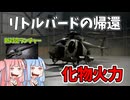 【BF6】ミニガンがエグイ!!!新対空ランチャーにLMR27の補足など　パート80