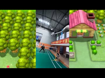 変なバドミントンの210ばんどうろ