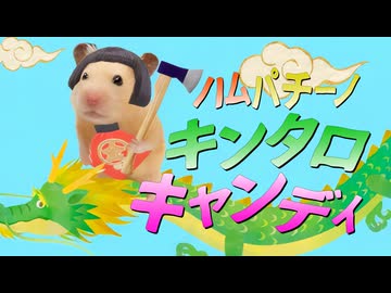 ハムパチーノ・キンタロキャンディ