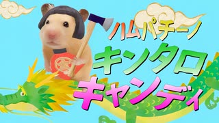 NHL】ドミニク・ハシェック ハイライト【アイスホッケー】 - ニコニコ動画