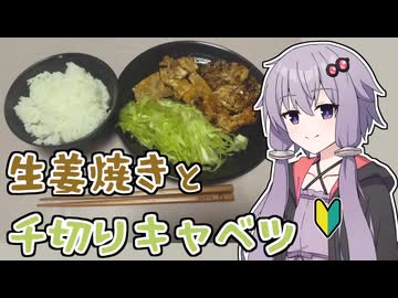 【追走したくなる料理動画祭】【ゆかりの自炊初心者日記】#2 初めて生姜焼きを作った結果…【VOICEROIDキッチン】
