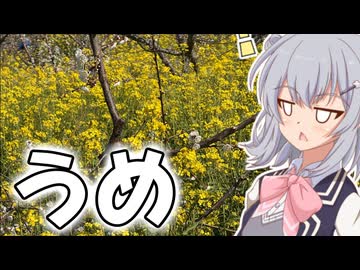 りっかのプチ旅行「な…南部梅林で！！うめだ！！」【小春六花】