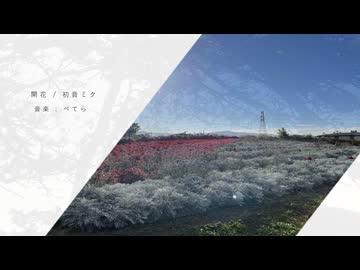 開花 / 初音ミク