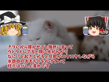 【怖い話】おっそーいww【ゆっくり解説】36-1