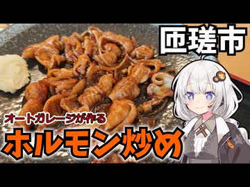 【車載】千葉県匝瑳市にホルモン炒めを食べにドライブ【千葉県のグルメ】
