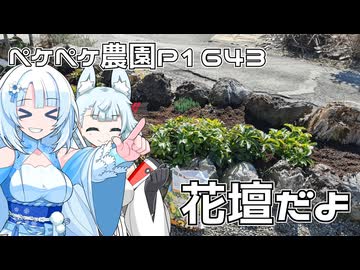 2026年2月21日　農作業日誌P1643　花壇が草原になる前に頑張るのだ