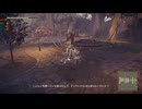CfA2 NA 遊園地廃墟1 ウサギ狩り3 2Bちゃん Lv99 Very Hard2 VHでの標準的なチップセットで自己記録更新／1分07秒♪