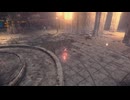 CfA2 NA 遊園地廃墟1 ウサギ狩り1 姐さん5 Very Hard2 最強チップセットで