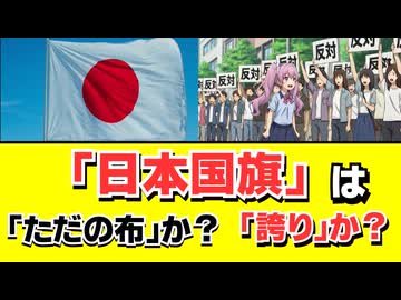 【激論】国旗を破るのは自由か？それとも罪か？ずんだもんとめたんが「国旗損壊罪」の必要性を徹底討論