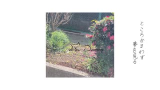 「昼寝、ねこ」 feat.間稚 のサムネイル