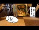 【増刊号】#131 訳あり猫さんをお迎えに行くよー！！