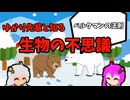 【VOICEROID解説】ゆかり先輩と知る生物の不思議【ベルクマンの法則】