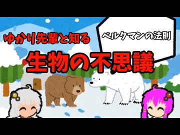 【VOICEROID解説】ゆかり先輩と知る生物の不思議【ベルクマンの法則】