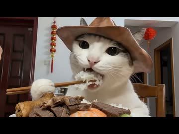 ホモと見る正月旅行を楽しんでしまう猫系youtuber