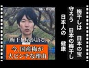 26・2・22     守ろうね　日本の　梅干し　　無くしちゃいけ無い。日本の梅干し　手を出しちゃいけ無いC国産　梅干し。